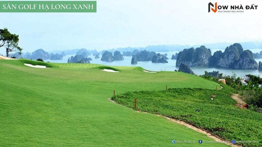 Sân golf Hạ Long Xanh có vị trí tại phường Đại Yên và phường Hà Khẩu, Hạ Long. Ở vị trí này, sân sở hữu tầm nhìn tuyệt đẹp, bao quanh bởi không gian mặt bằng Vinhomes Hạ Long Xanh.